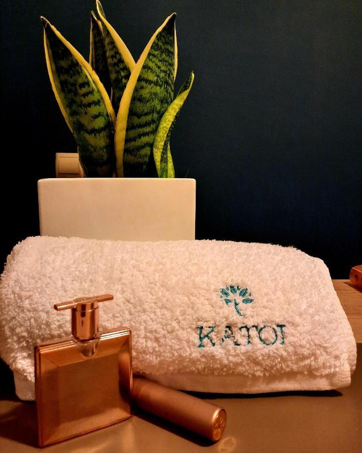 Katoi Traditional House Exo Khora Dış mekan fotoğraf