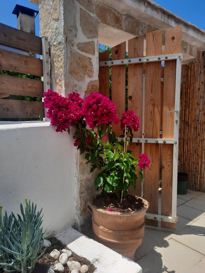 Katoi Traditional House Exo Khora Dış mekan fotoğraf